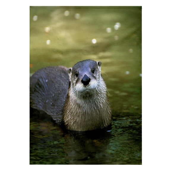 3dRose, Peru, Manu River Region. Giant River Otter wildlife - SA17 GJE0120 - Gavriel Jecan, 22x30 Bath Hand Pool Towel