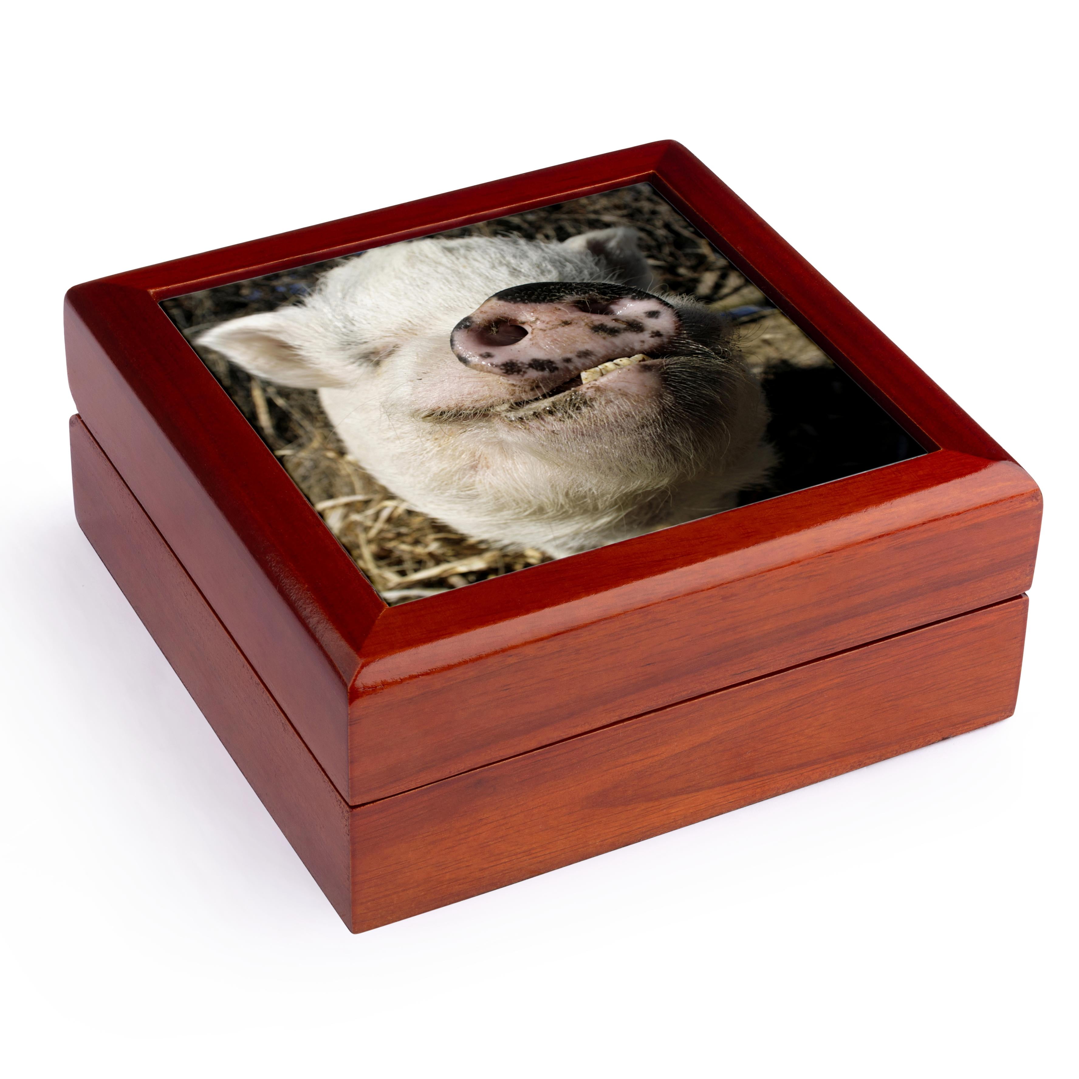3dRose, Pet pot bellied pig, Farm animal, New Mexico - US32 JMR0497 - Julien McRoberts, Jewelry Box 5.5x5.5 inch with 4 inch tile