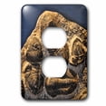 thumbnail image 1 of 3dRose, Phacopidae trilobites from the devonic in Morrocco, 2 plug outlet cover, 1 of 1