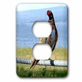 thumbnail image 1 of 3dRose Pheasant - 2 Plug Outlet Cover (lsp_971_6), 1 of 1