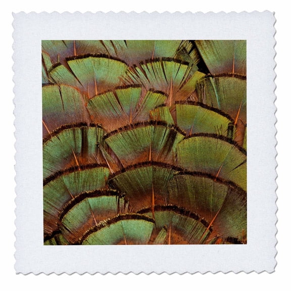 3dRose, Pheasant body feather fan design 02, 6x6 inch quilt square