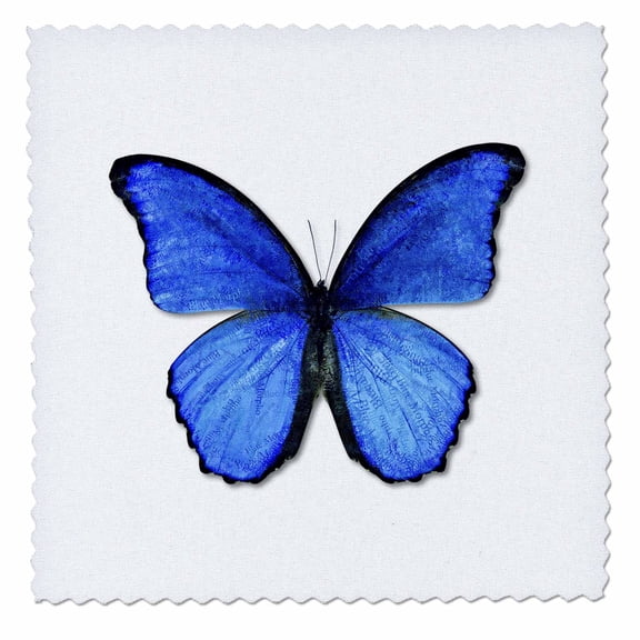 3dRose, Photo Illustration Blue Butterfly, 10x10 inch quilt square