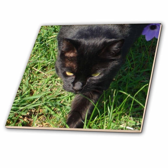 3dRose, Photograph of a black cat strolling through a field of anemones, 6 Inch Ceramic Tile