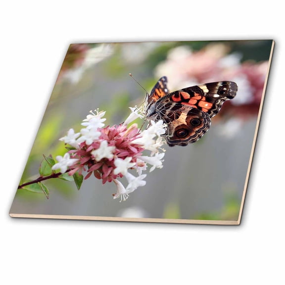 3dRose, Photograph of an American Painted Lady butterfly pollinating abelia. , 6 Inch Glass Tile
