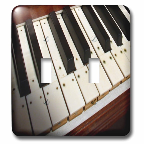 3dRose, Piano Keyboard, double toggle switch