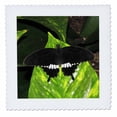 thumbnail image 1 of 3dRose, Piano Keys Butterfly, 6x6 inch quilt square, 1 of 1