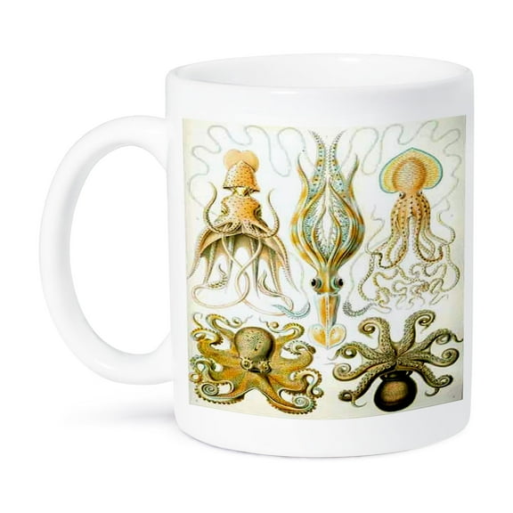 3dRose, Picture Of 1800 Drawing Of Famous Biologist Squids, 15oz Mug