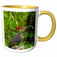 thumbnail image 1 of 3drose, Pileated Woodpecker Bird, Whitefish, Montana - Us27 Cha2495 - Chuck Haney, 15oz Two-tone Yellow Mug, 1 of 6