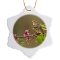 thumbnail image 1 of 3drose, Pine Siskin, Spinus Pinus, Adult Perched in Buckeye Tree., 3 inch Snowflake Porcelain Ornament, 1 of 7