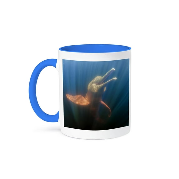 3dRose, Pink Amazon river dolphins. Amazonas, Brazil., 11oz Two-Tone Blue Mug