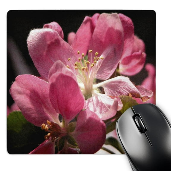 3dRose, Pink Apple Flowers, MousePad