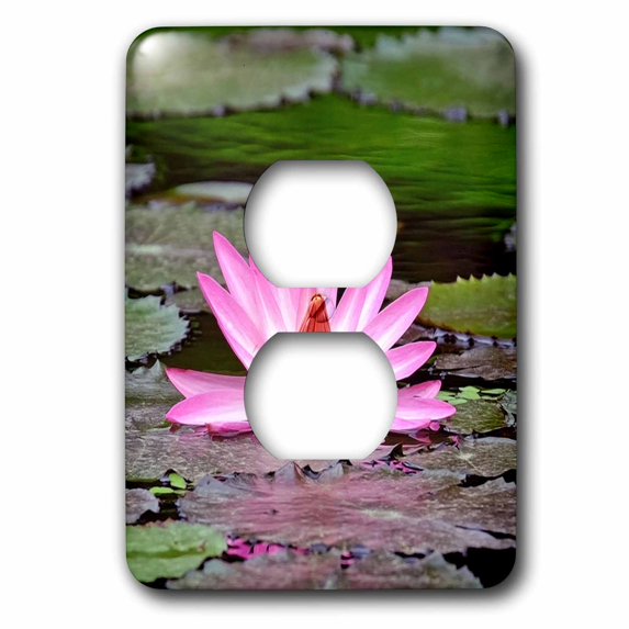 3dRose, Pink Asia Lotus Flower Buddha Symbol, 2 plug outlet cover