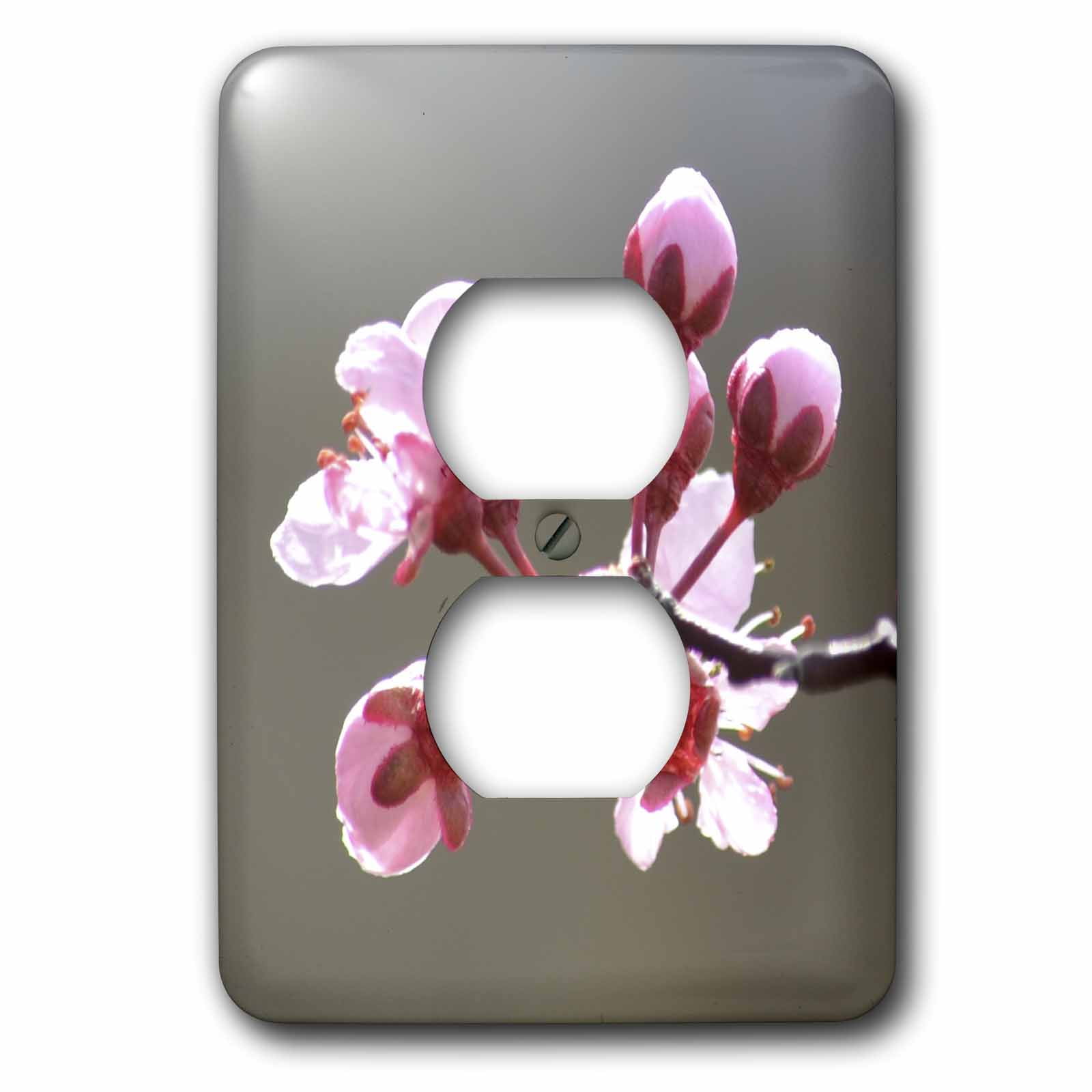 3dRose, Pink Blooms - Cherry Blossom Flowers - Spring , 2 plug outlet cover
