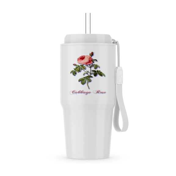 Pink Cabbage Rose With Rosebuds Botanical Print, 20oz Tumbler