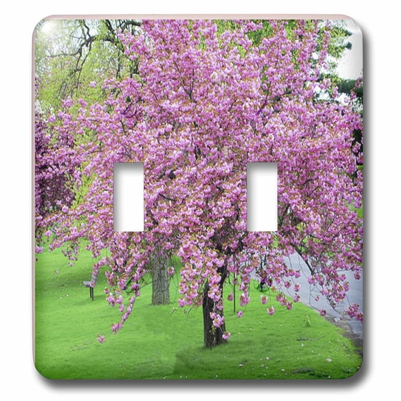 3dRose, Pink Cherry Blossom Tree On Green Grass, double toggle switch