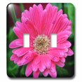thumbnail image 1 of 3dRose, Pink Daisy with Rain Drops Pink Gerbera Daisy, double toggle switch, 1 of 1