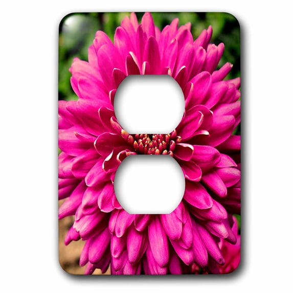 3dRose, Pink Jenna Dahlia Flower, 2 plug outlet cover
