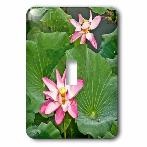 3dRose, Pink Lotus Flowers and lily pads, single toggle switch