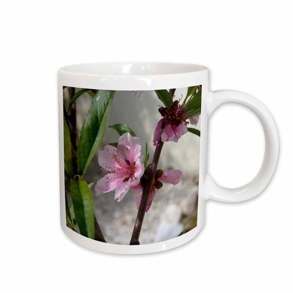 3drose, Pink Peach Blossom, 11oz Mug