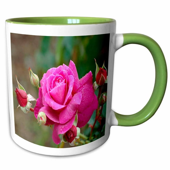 3drose, Pink Rose, 11oz Two-tone Green Mug