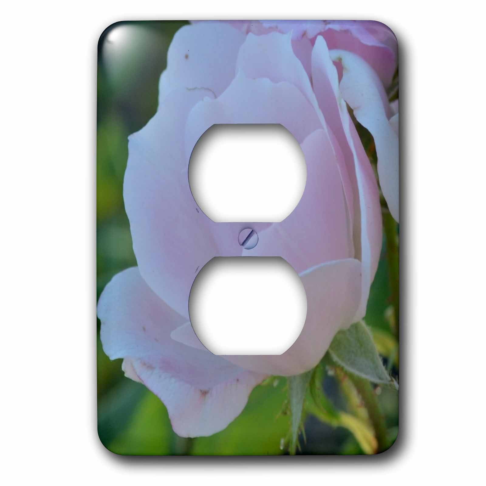 3dRose, Pink Rose Macro Romantic Flowers Flower Photography, 2 plug outlet cover