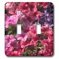 thumbnail image 1 of 3dRose, Pinks, double toggle switch, 1 of 1