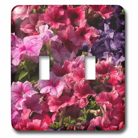 3dRose, Pinks, double toggle switch