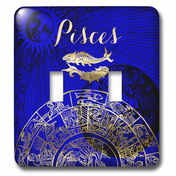 3dRose, Pisces Symbol Astrology Wheel Zodiac Sign Horoscope, double toggle switch