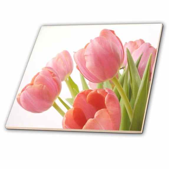 3dRose, Pleasantly Pink Tulips, 6 Inch Ceramic Tile