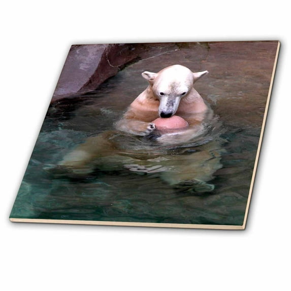 3dRose, Polar Bear with His Ball, 4 Inch Ceramic Tile