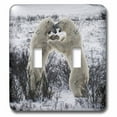 thumbnail image 1 of 3dRose, Polar Bears Fighting, double toggle switch, 1 of 1