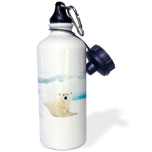3dRose, Polar bear in Norway laying on the summer pack ice., 21 oz Sports Water Bottle
