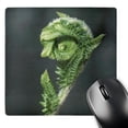 thumbnail image 1 of 3dRose, Polypody fern fiddlehead flora, MA - US22 JMO0137 - Jerry and Marcy Monkman, MousePad, 1 of 7