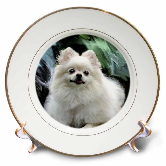 3dRose, Pomeranian, 8 inch Porcelain Plate