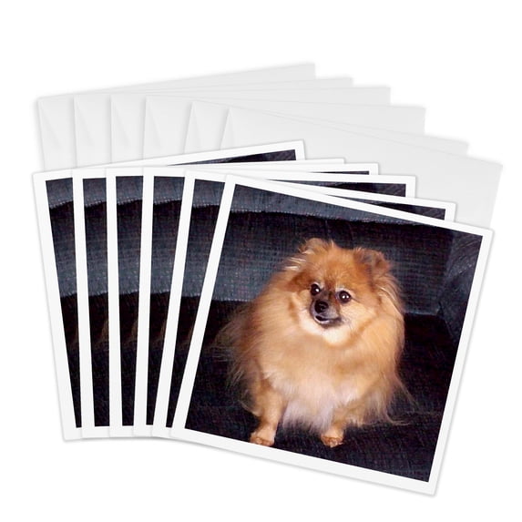 3drose, Pomeranian Dog, 6 Greeting Cards with Envelopes