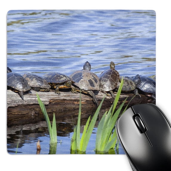 3dRose, Pond Slider, Painted, Western Turtles - US48 JWI3671 - Jamie and Judy Wild, MousePad