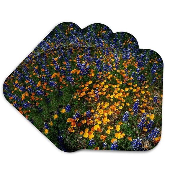 3drose, Poppies, Lupine on Figueroa Mtn, Los Padres Natl Forest, California 1, Set of 4 Coasters - Soft