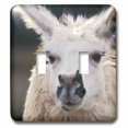 thumbnail image 1 of 3dRose, Portrait of a llama wildlife - NA02 JMI0015 - Janis Miglavs, double toggle switch, 1 of 1