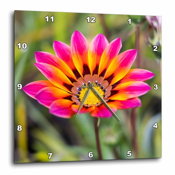 3drose, Portugal, Calvaria De Cima. Wildflowers Growing., 15x15 Wall Clock