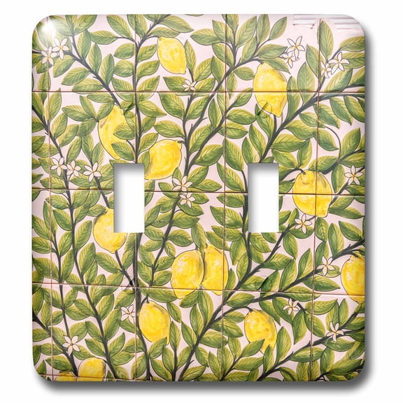3dRose, Portugal, Evora, hand painted ceramic tile mural, double toggle switch