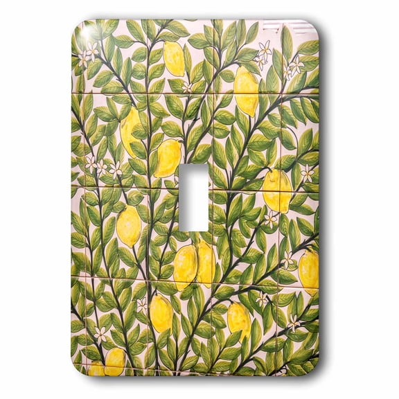 3dRose, Portugal, Evora, hand painted ceramic tile mural, single toggle switch