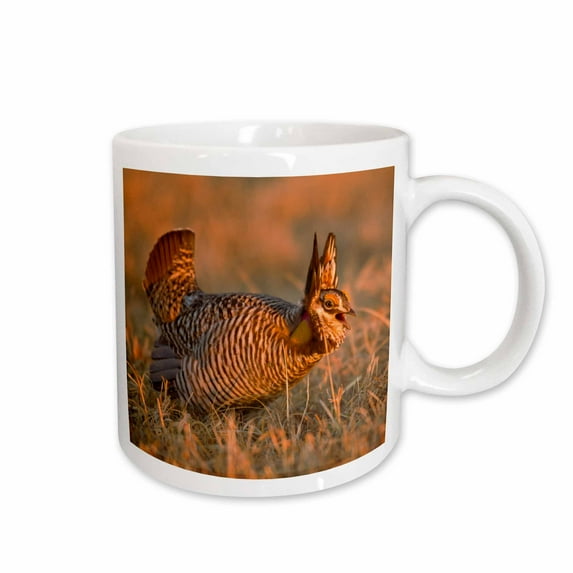 3drose, Prairie Chicken Bird, Lek, Loup County, Nebraska, Usa - Us28 Cha0151 - Chuck Haney, 15oz Mug