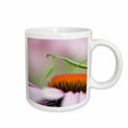 thumbnail image 1 of 3drose, Praying Mantis Insect, Pennsylvania - Us39 Rkl0008 - Raymond Klass, 11oz Mug, 1 of 6