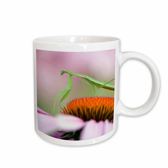 3drose, Praying Mantis Insect, Pennsylvania - Us39 Rkl0008 - Raymond Klass, 11oz Mug