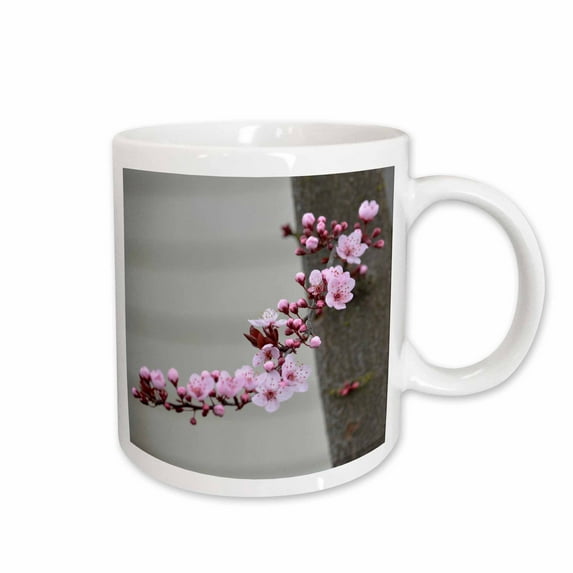 3drose, Pretty Spring Flowers- Pink Cherry Blossom- Photography, 15oz Mug