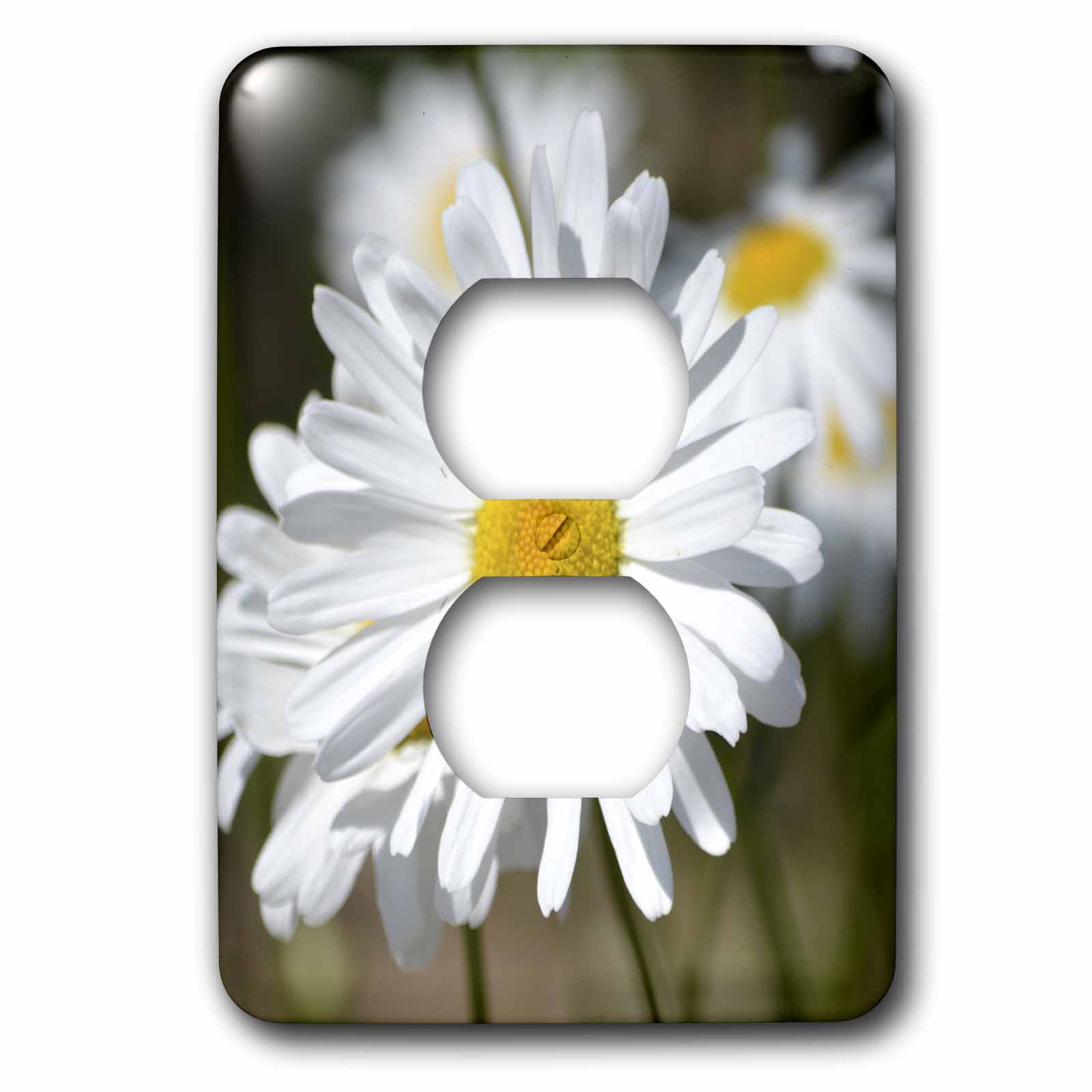3dRose, Pretty White Daisy - Flowers - Spring Photography, 2 plug outlet cover