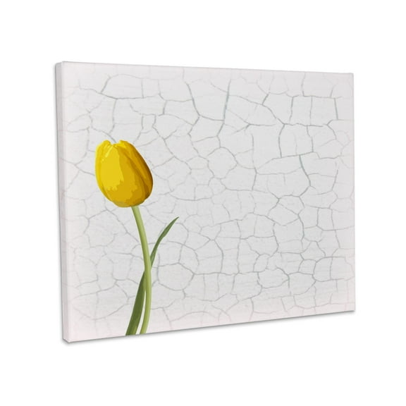 3dRose, Pretty Yellow Tulip on Faux White Crackle Paint Background, Museum Grade Canvas Wrap 14x11