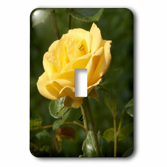 3dRose, Pretty yellow rose, single toggle switch