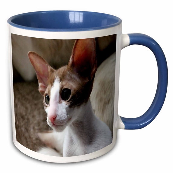 3drose, Print of Oriental Shorthair Cat Painting, 11oz Two-tone Blue Mug