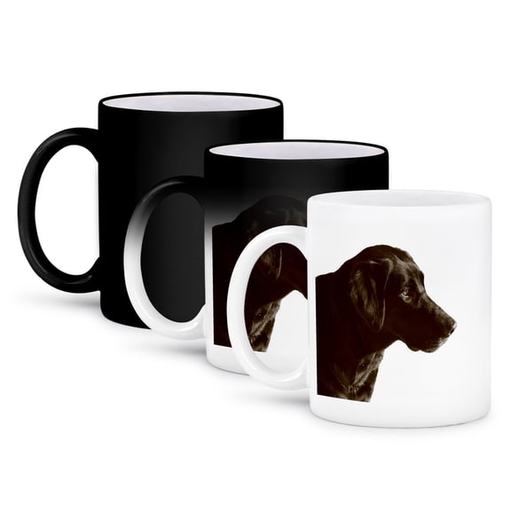 3dRose, Print of Chocolate Lab Portrait, 11oz Magic Transforming Mug